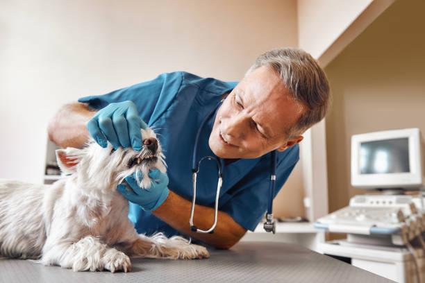 Best Emergency Wisdom Tooth Extraction in Leland, NC